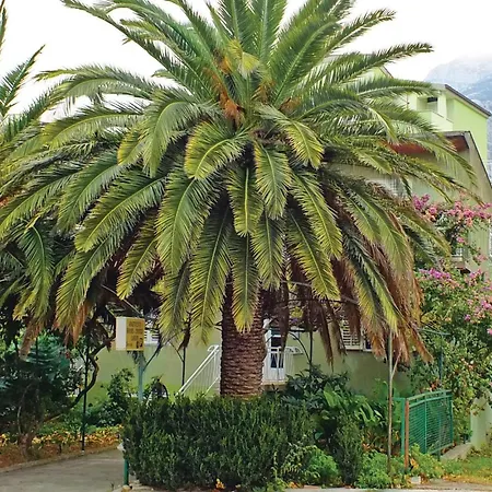 아파트 07 마카르스카